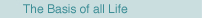 the basis of life